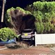 story img