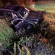 story img