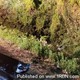 story img