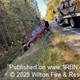 story img