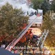 story img