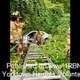 story img