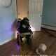 story img