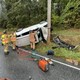 story img