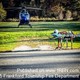 story img