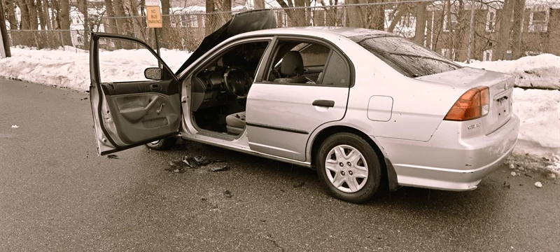 Working vehicle fire