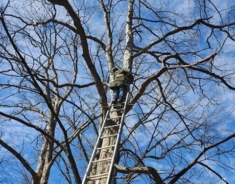 going above and beyond