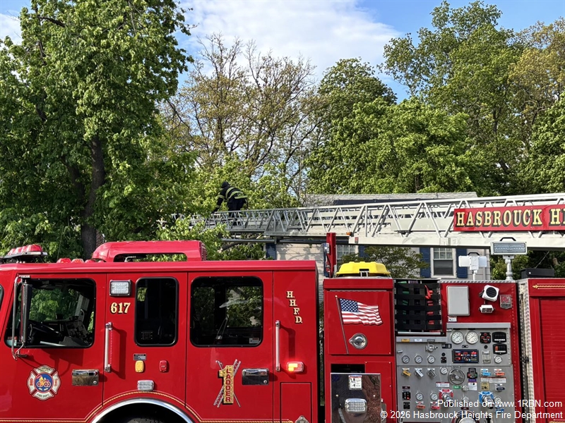 Fallen Tree Limb Damages Home and Vehicle on Lincoln Avenue