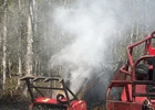 Crews Contain Fully Involved Bobcat Fire in Woodland Area