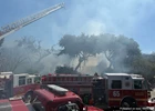 House Fire in Melbourne Beach Claims Pet, Spreads Briefly to Nearby Woods