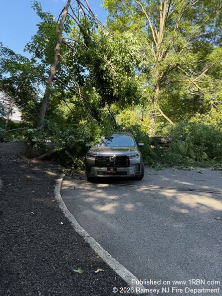 Emergency Crews Respond After Tree Crashes Into Utility Wires in Ramsey