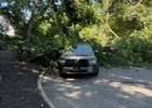 Emergency Crews Respond After Tree Crashes Into Utility Wires in Ramsey