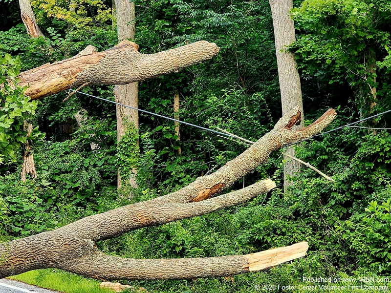 Downed Tree and Wires Prompt Multi-Agency Response on Central Pike
