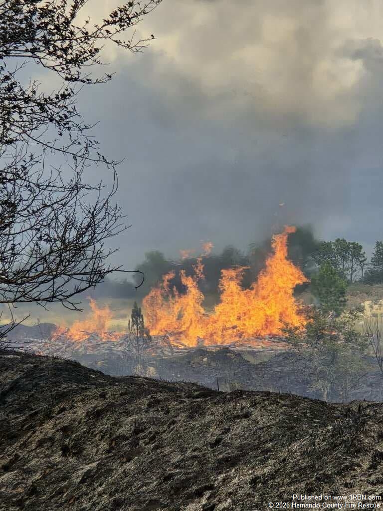 Quick Containment of Brush Fire Prevents Further Spread