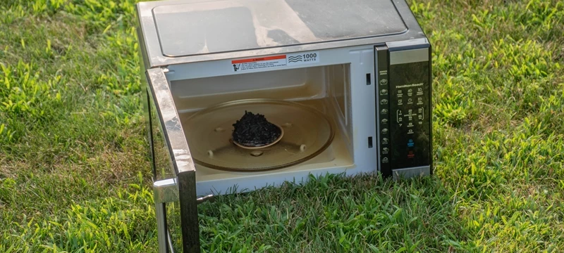 Microwave Fire in Delmar