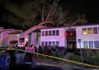 Twelve Families Displaced After Tree Falls on Apartment Building in Ocala