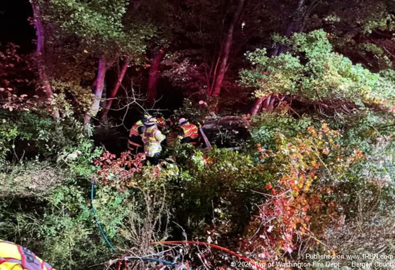 Trapped by Falling Timber: Washington Township Firefighters Free Pinned Driver off Garden State Parkway