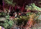 Trapped by Falling Timber: Washington Township Firefighters Free Pinned Driver off Garden State Parkway